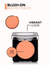 Flormar BLUSH-ON MATTE PEACH 100