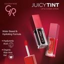 Golden Rose Juicy Tint Lip & Joues n°01