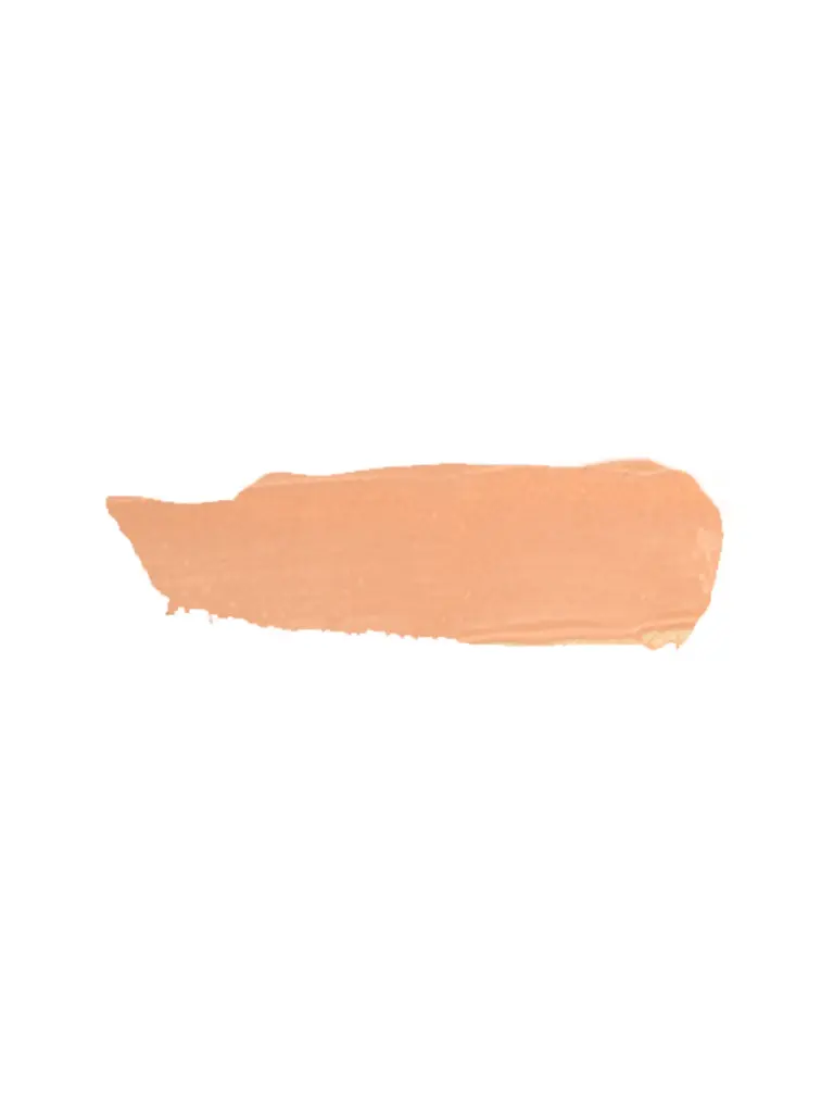 Pastel Profashion Liquid Concealer 103