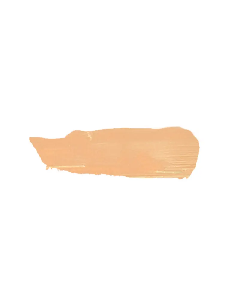 Pastel Profashion Liquid Concealer 104