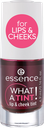 Essence Blush Liquide What A Tint n°01