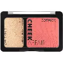 Catrice Blush & Highlighter Cheek n° 030