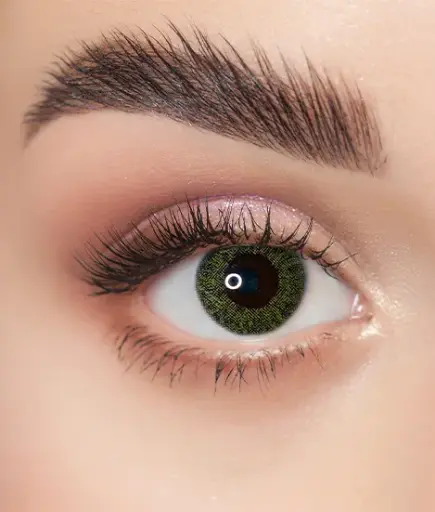 [VL 31 W] Viva Lentilles n°31 Royal Green W